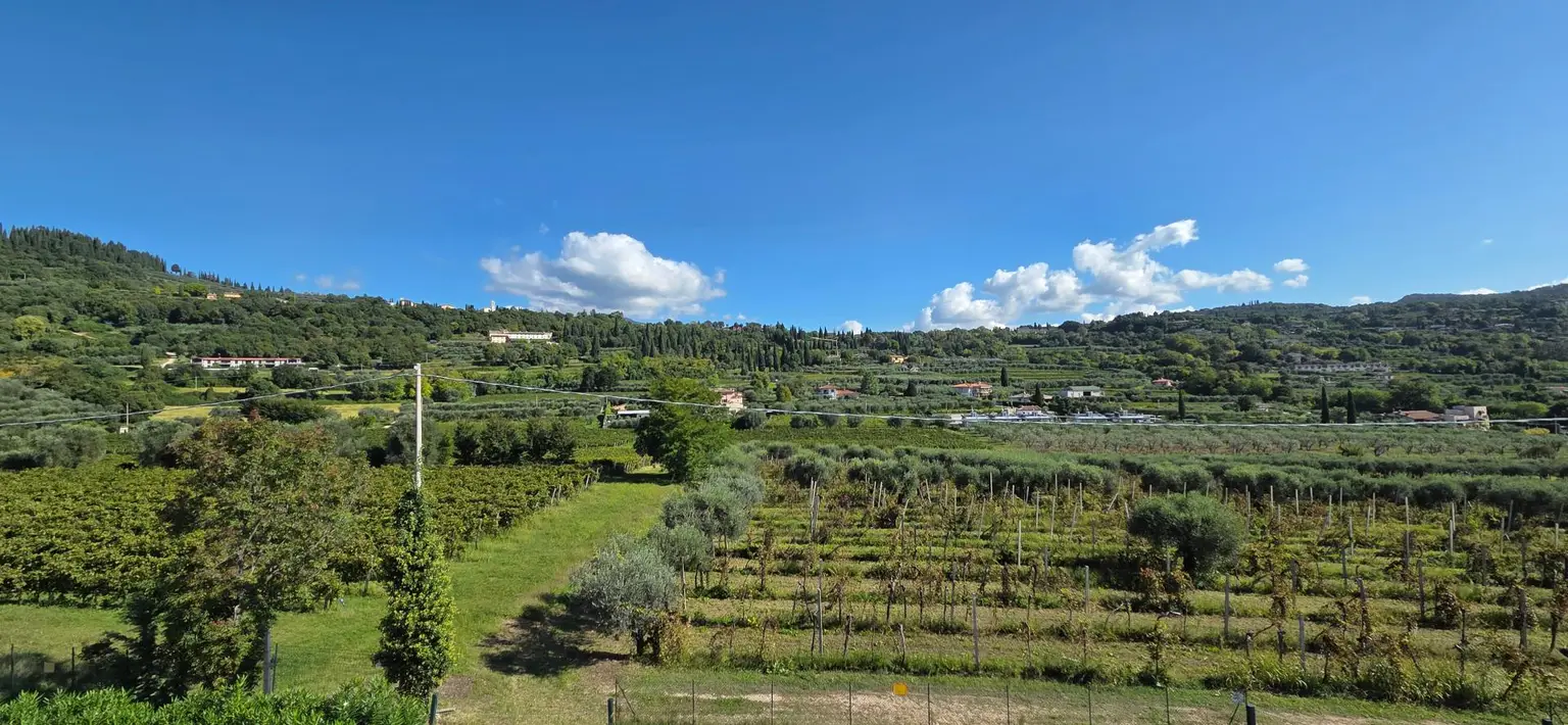 Wohnung - Aussicht (2)