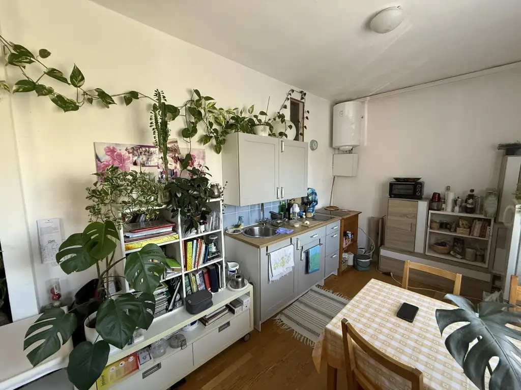 Prov-Frei - Dreihackengasse, nette Großgarconniere inkl. Küche zu vermieten nach Absprache