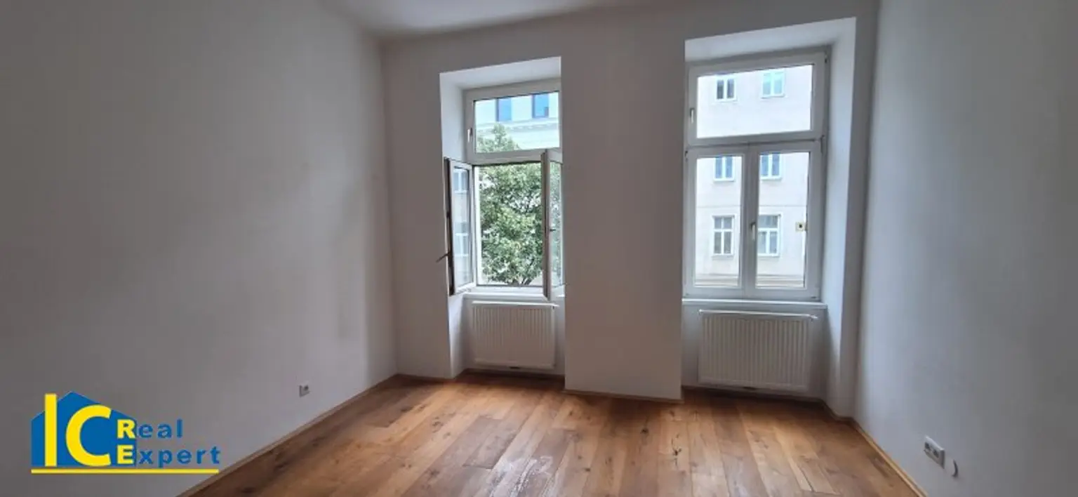 Baumzeile in der Straße