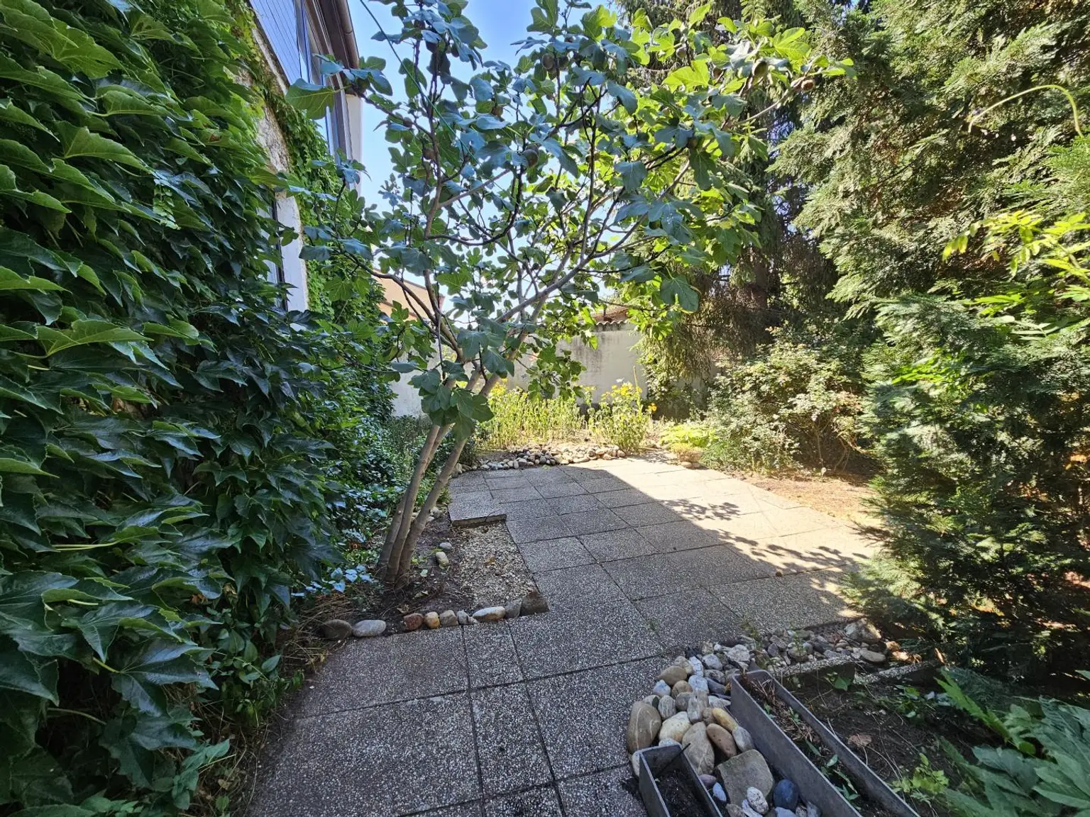 Garten (8)