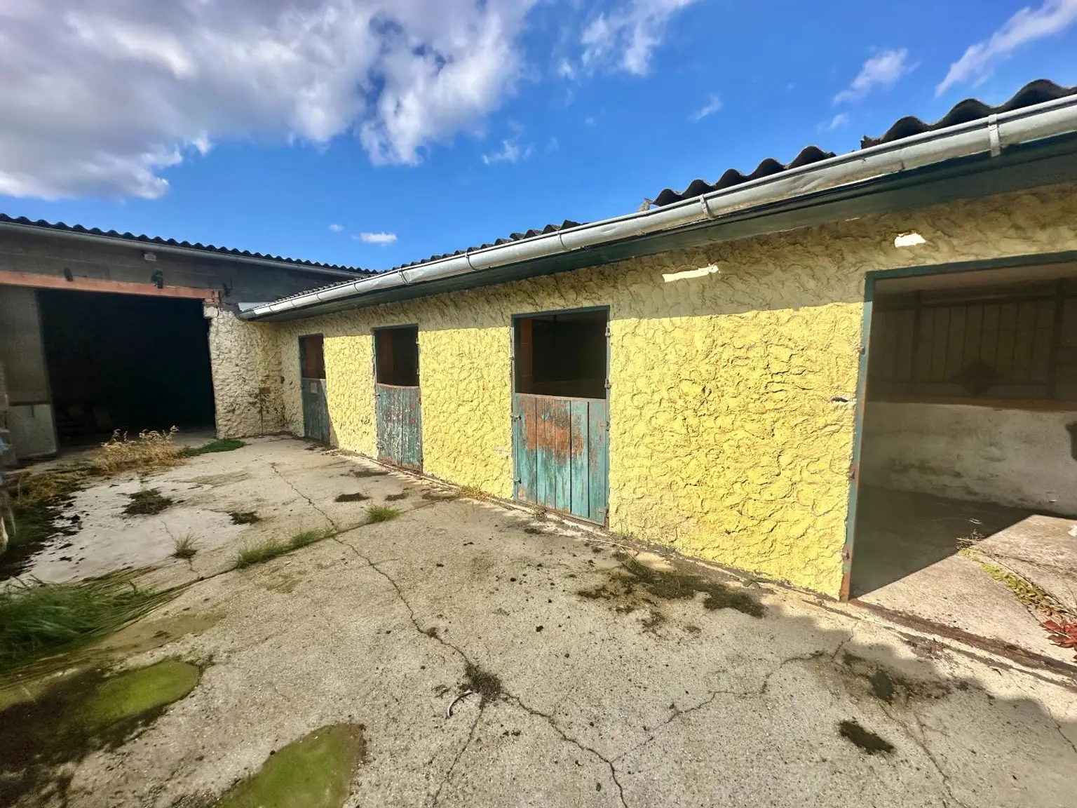 Reiterparadies im Weinviertel – Ihr Traum vom Landleben!