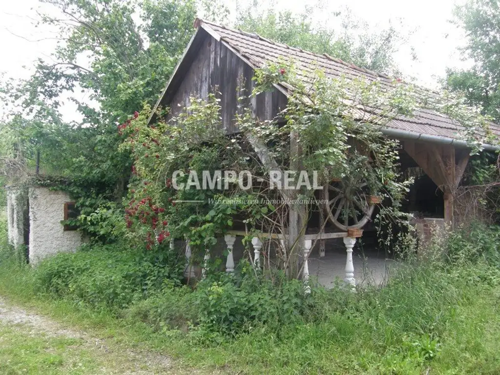 LANDWIRTSCHAFT: Alter Bauernhof mit Wohn- und Wirtschaftsgebäuden, Grill-Platzl und eigener Keller mit ca. 2.800 m2 Grund