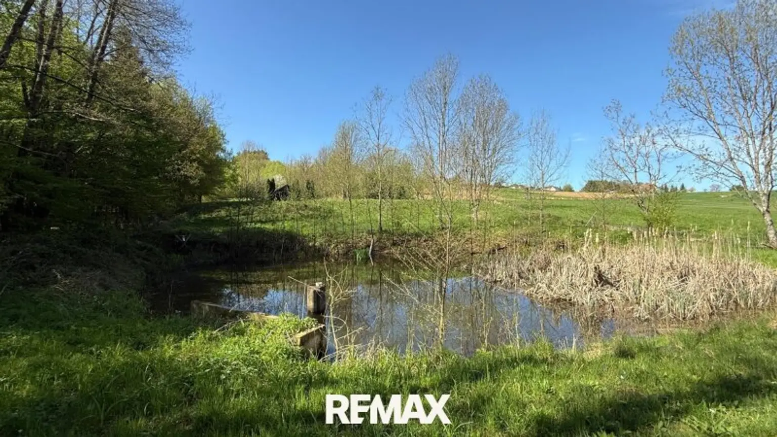 Teich 4