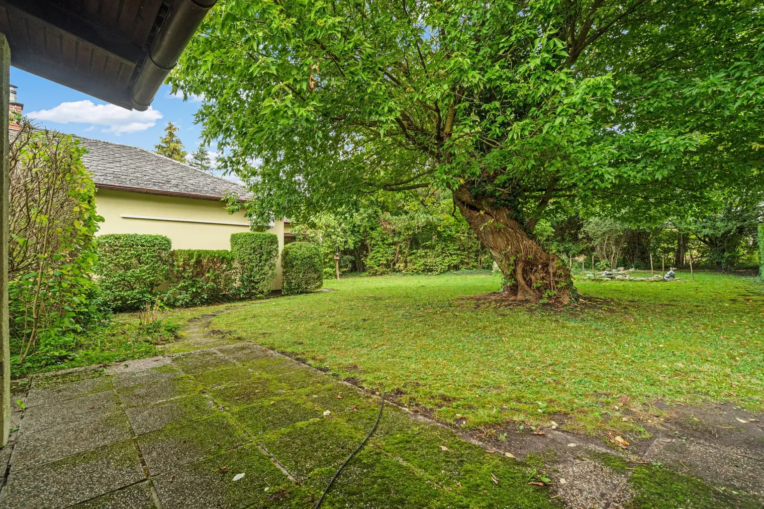 "Großzügiger Bungalow mit Wiennähe und XXL-Garage"