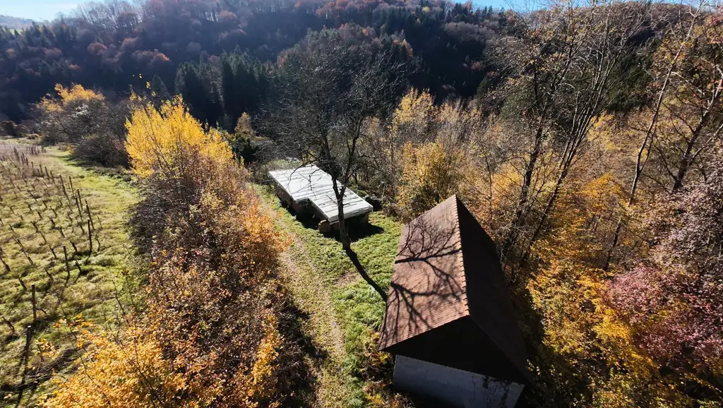 Weingarten mit Landwirtschaft und Altbestand in Kranach, Gemeinde Gamlitz