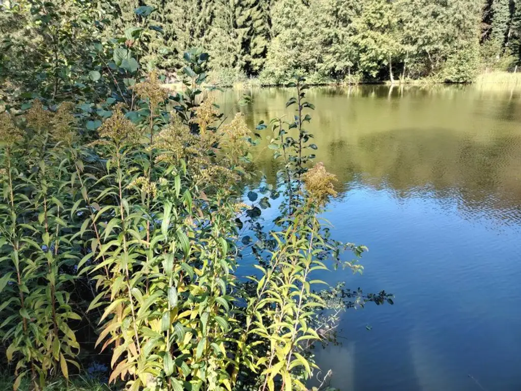 Naturidylle mit Fischteichanlage nahe Stadtschlaining