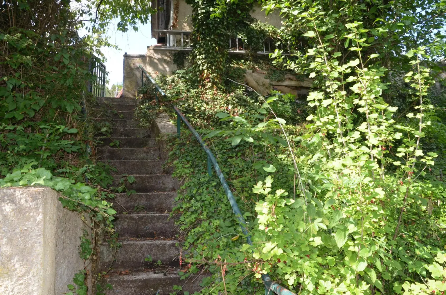 Garten Rückseite 4