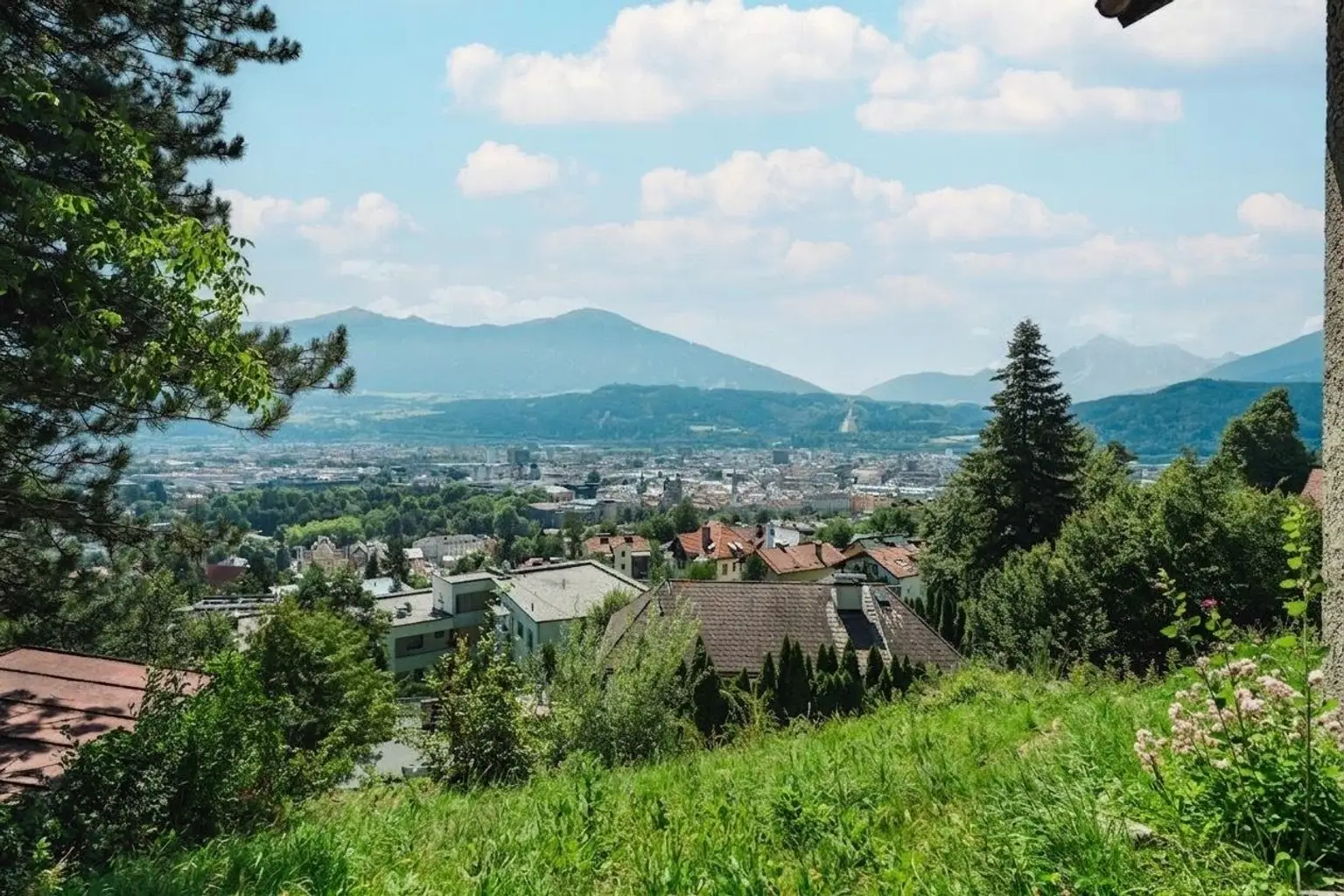 Blick vom Grundstück