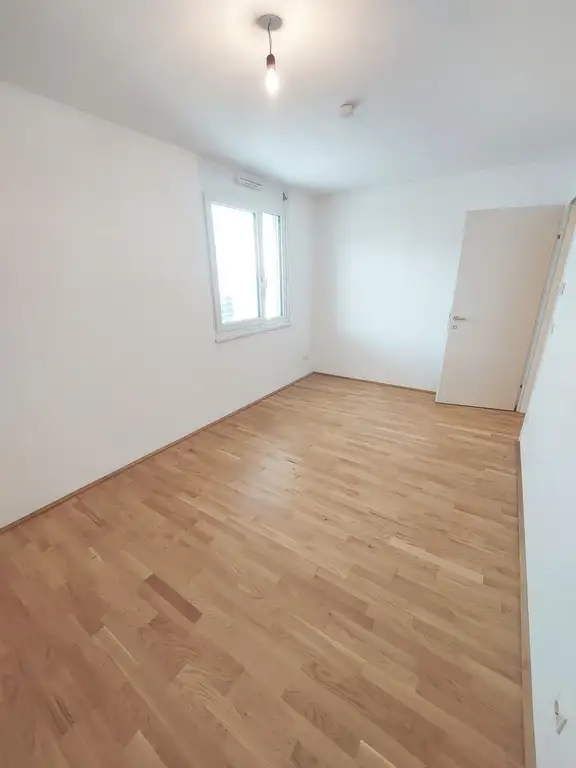 Zimmer I