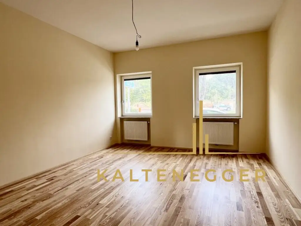 Vösendorf : Büro- und Praxisräume / Zwei sanierte Einheiten
