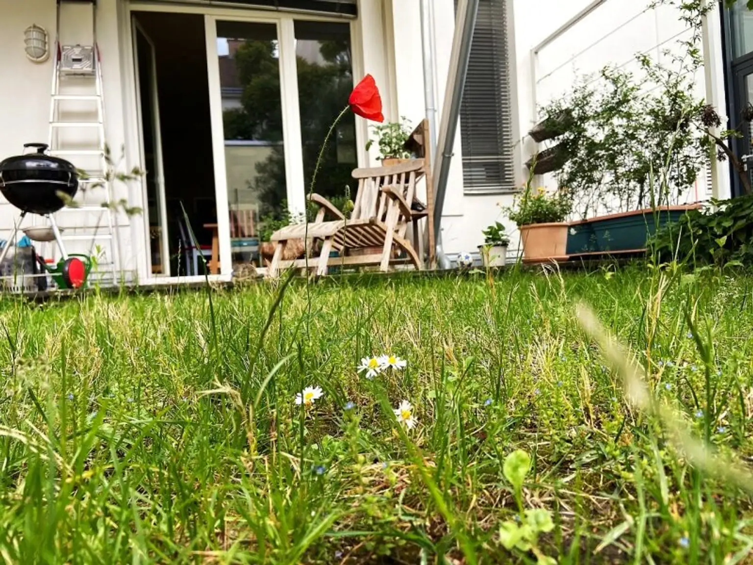 Gartenblick