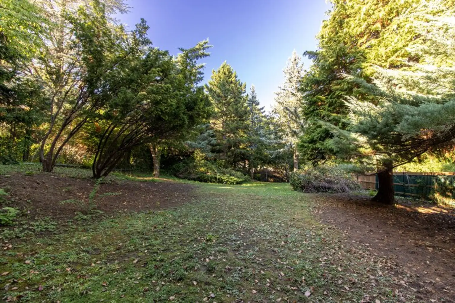 Familienheim mit Privatsphäre - Elegantes Wohnen in Harmonie mit der Natur