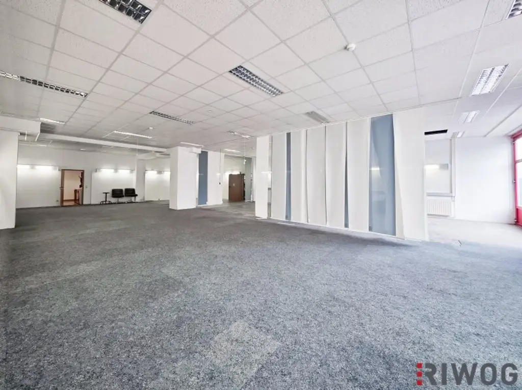 211m² Geschäftslokal/Büro-Lager Kombination mit ebenerdiger Zufahrt | Ladezone direkt vorm Lokal