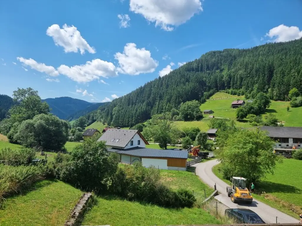 Großzügiges Landhaus im Grünen!