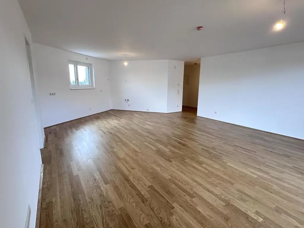 einen Katzensprung von Wien entfernt MIETE