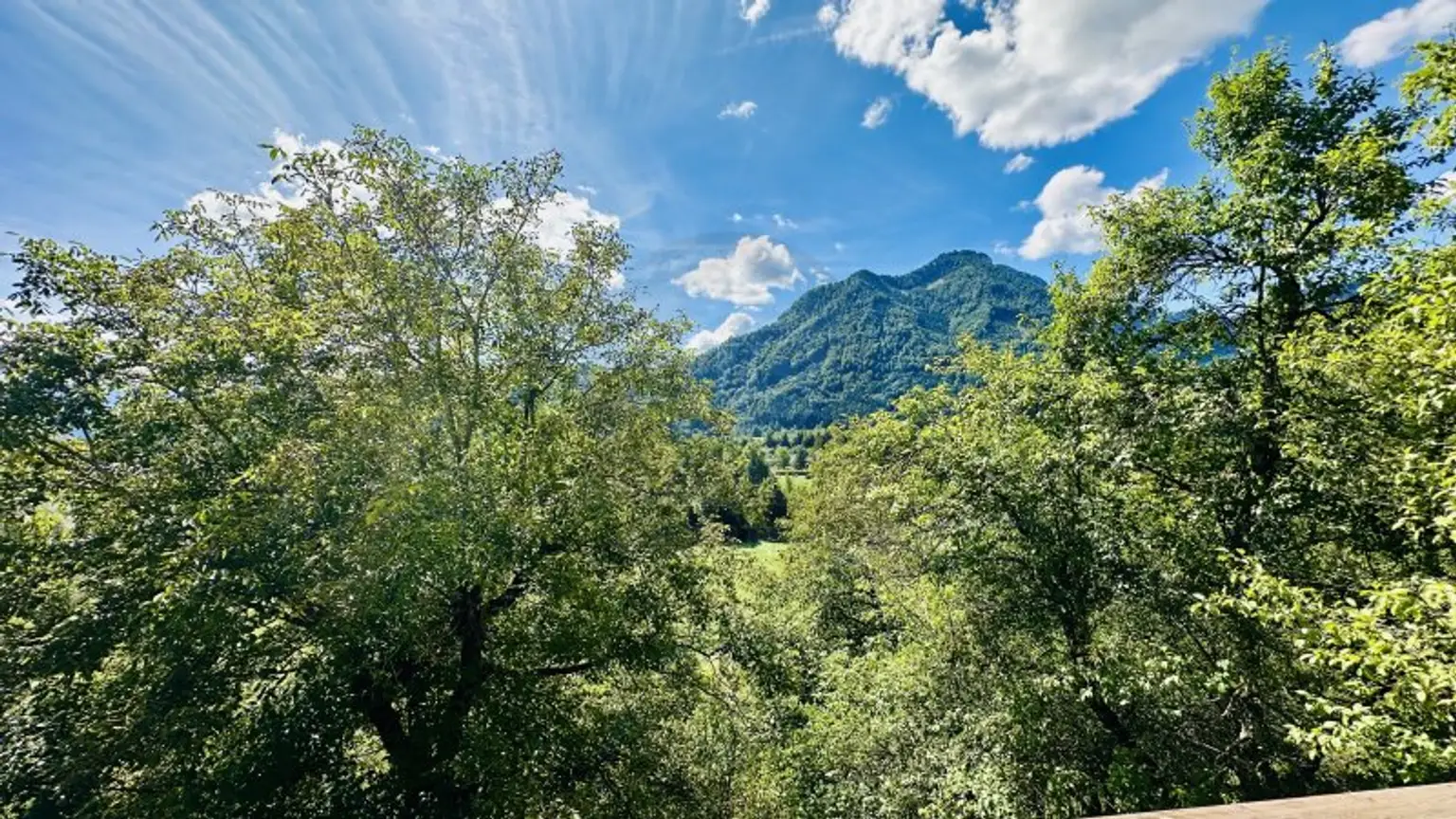 Besichtigungstag am 19.09.2025 !! Traumhaftes Einfamilienhaus mit Bergblick