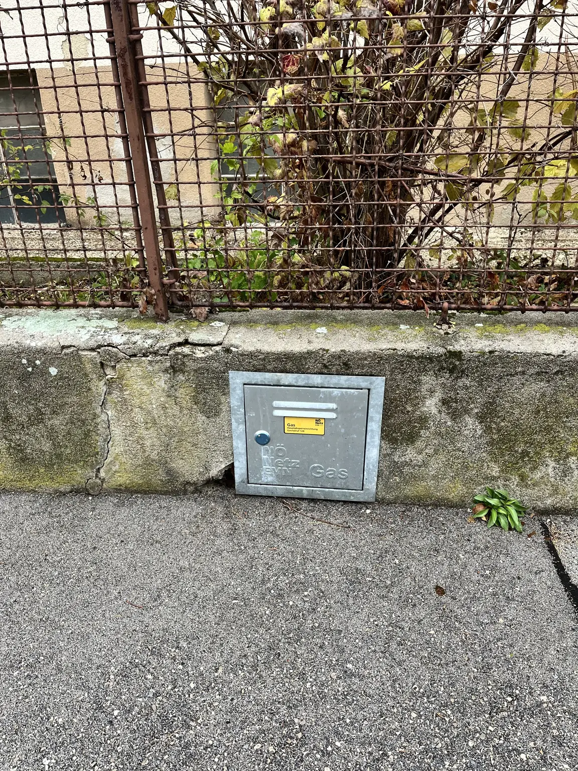 12 Zimmer Haus  mit Geschäftslokal auf 948 m2 Grundstück