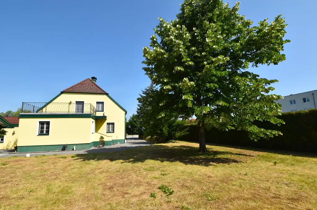 Ein neues Zuhause mit vielen Möglichkeiten!