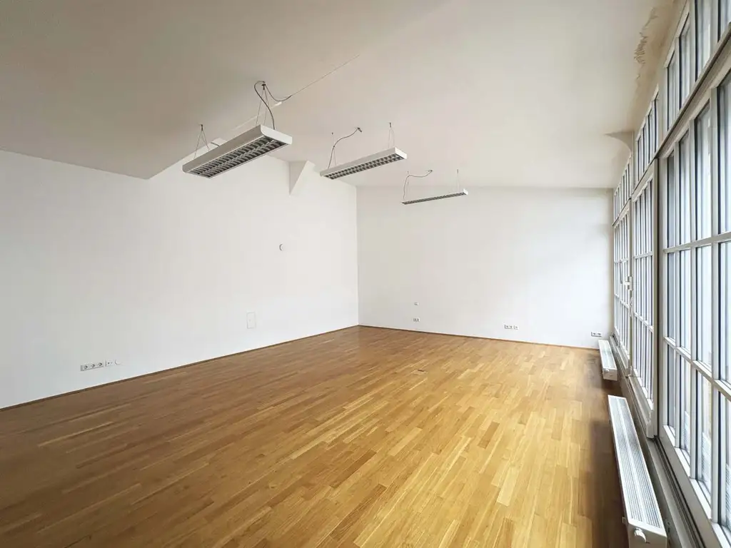 Klimatisierte Loft Wohnung mit Terrasse - 
Top Lage am Stubenring
