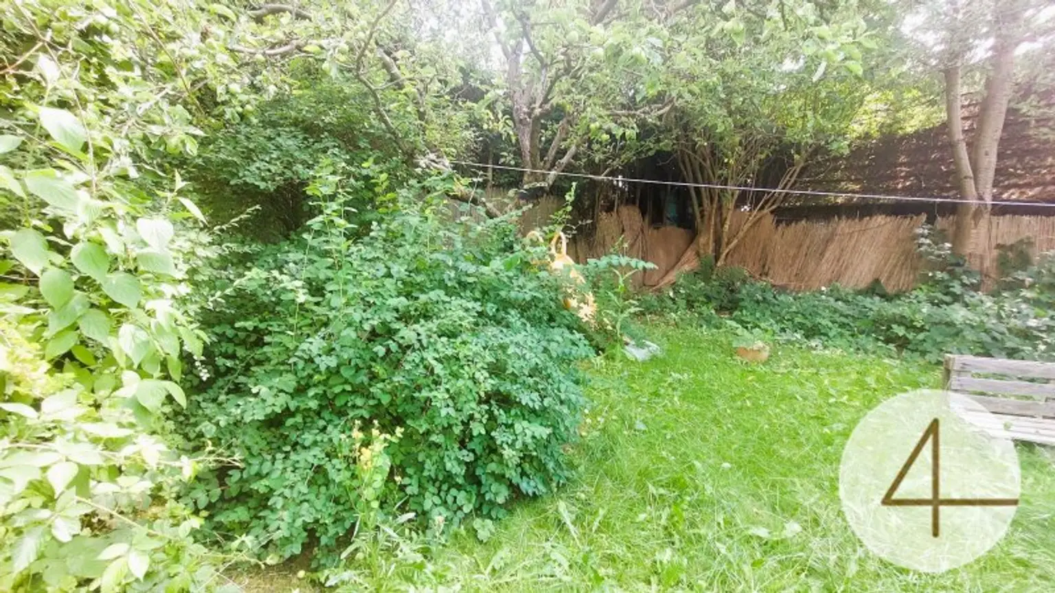 Natur rund ums Haus!