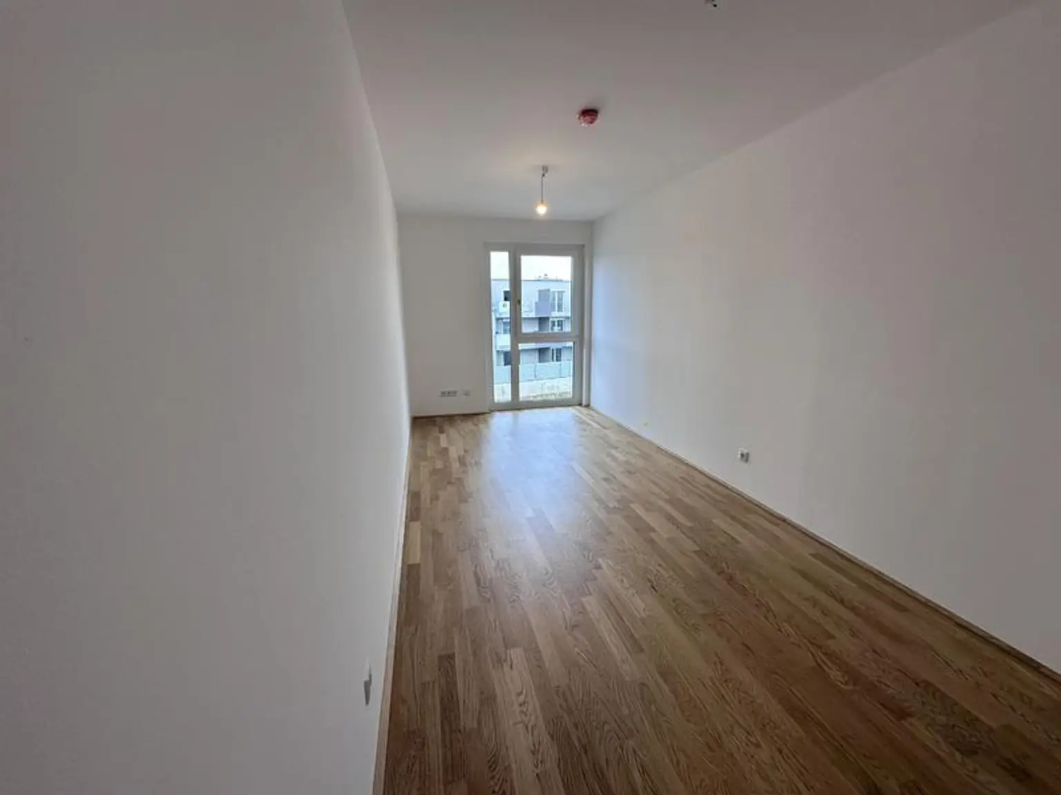 einen Katzensprung von Wien entfernt MIETE