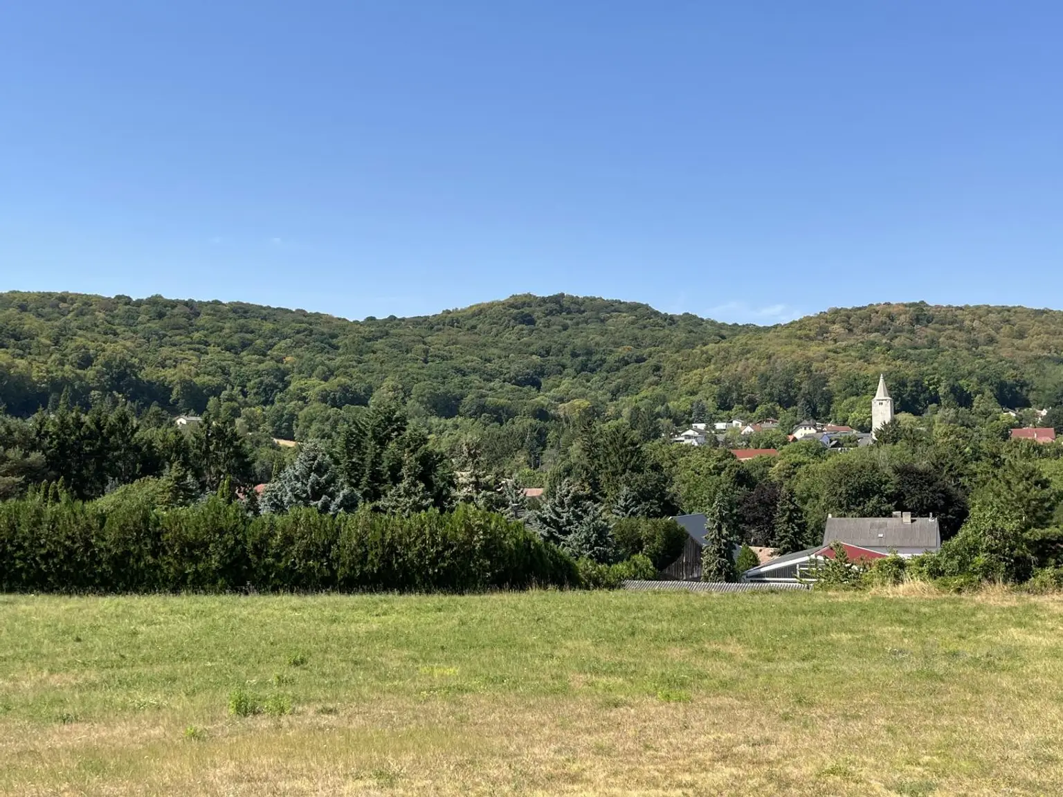viel Wald rund um Michelstetten