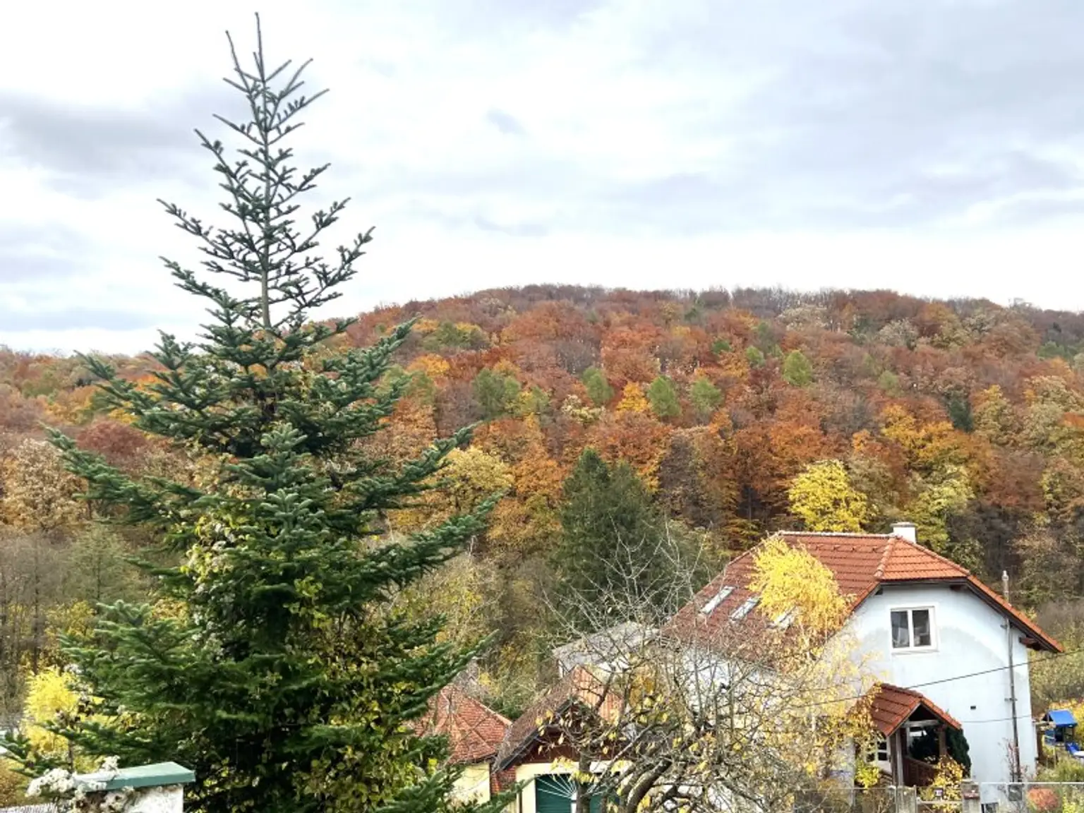WOHNEN IM GRÜNEN - SONNIGES GRUNDSTÜCK AM RANDE DES WIENERWALDES!