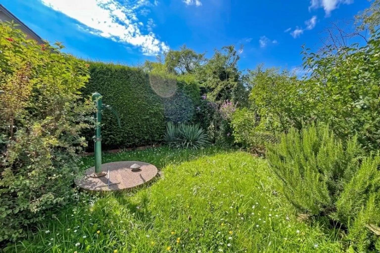 Garten mit Brunnen