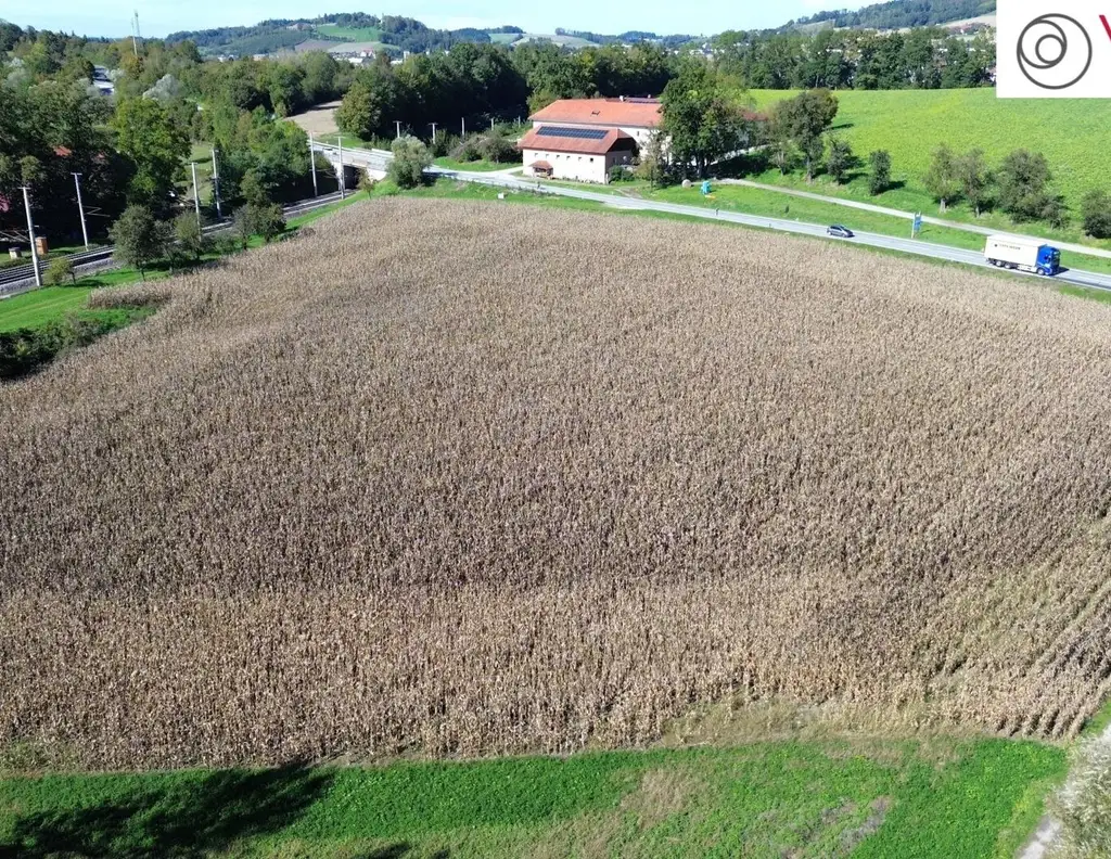 Betriebsbaugrundstück (B) I 24.000 m²​​​​​​​ I ideale Verkehrsanbindung I Baubewilligung bereits vorhanden!