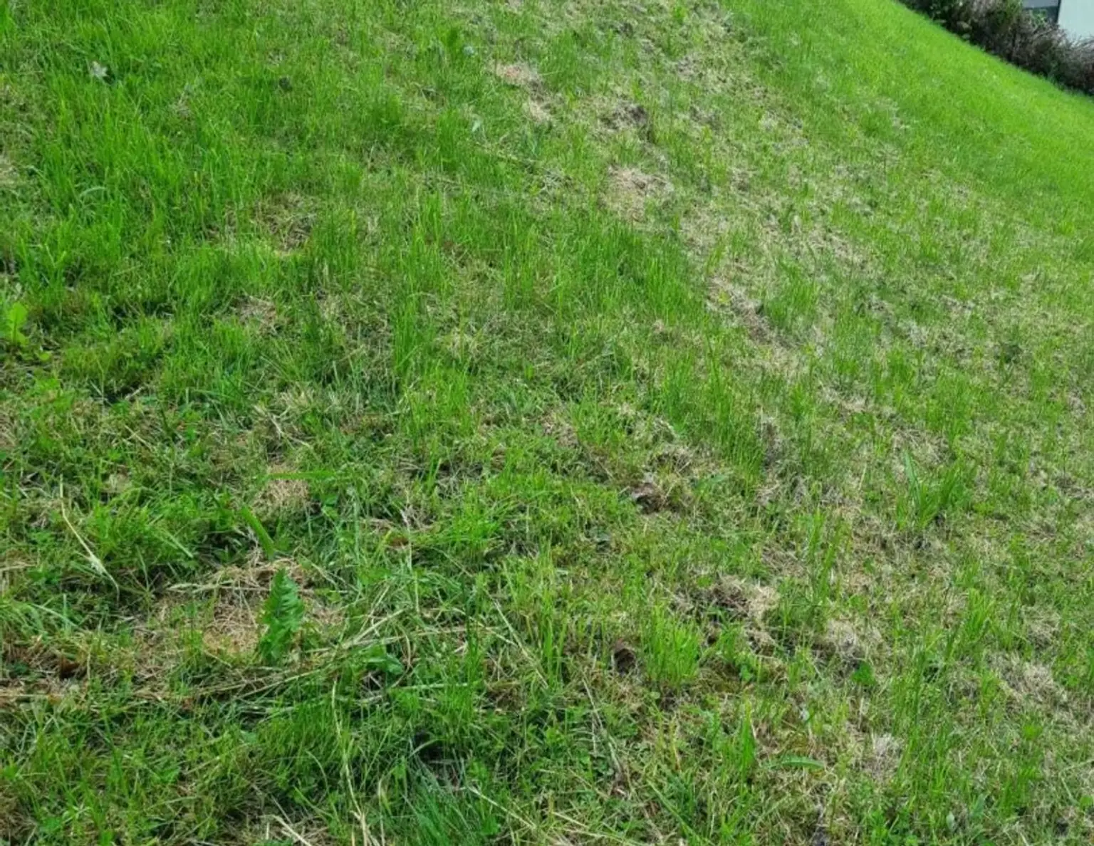 Baugrundstück in 4111 Walding