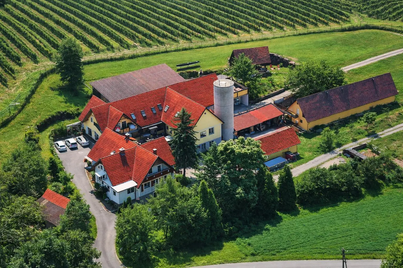 Bauernhof mit Weinhügel im Vordergrund
