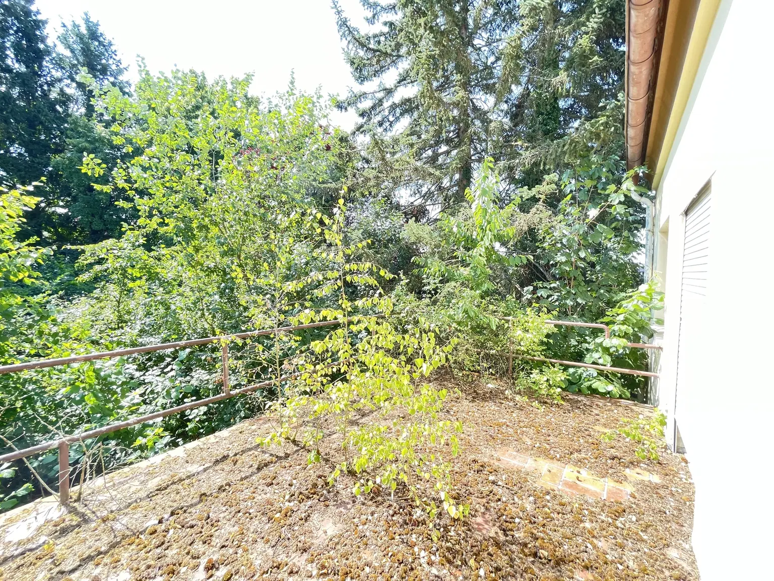 Balkon OG