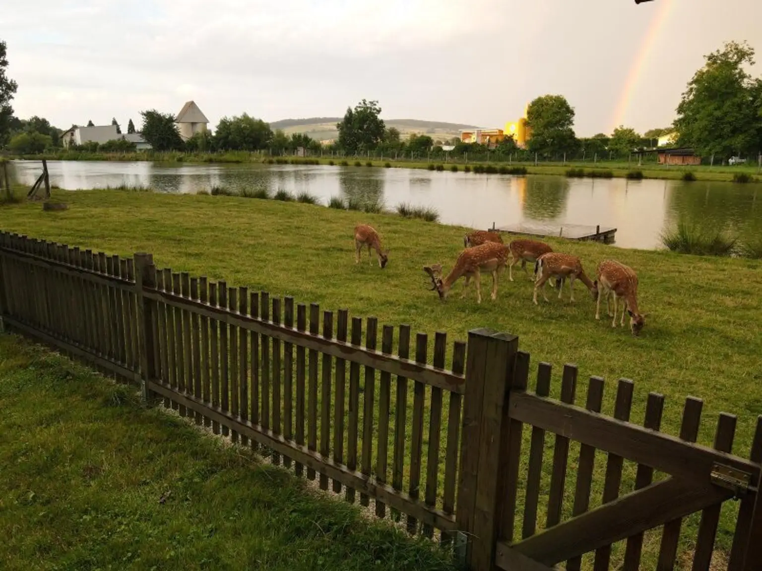 *** IHR PRIVATES PARADIES *** EIGENER FISCHER/BADE-SEE ***  GROSSTIERHALTUNG *** und vieles mehr....