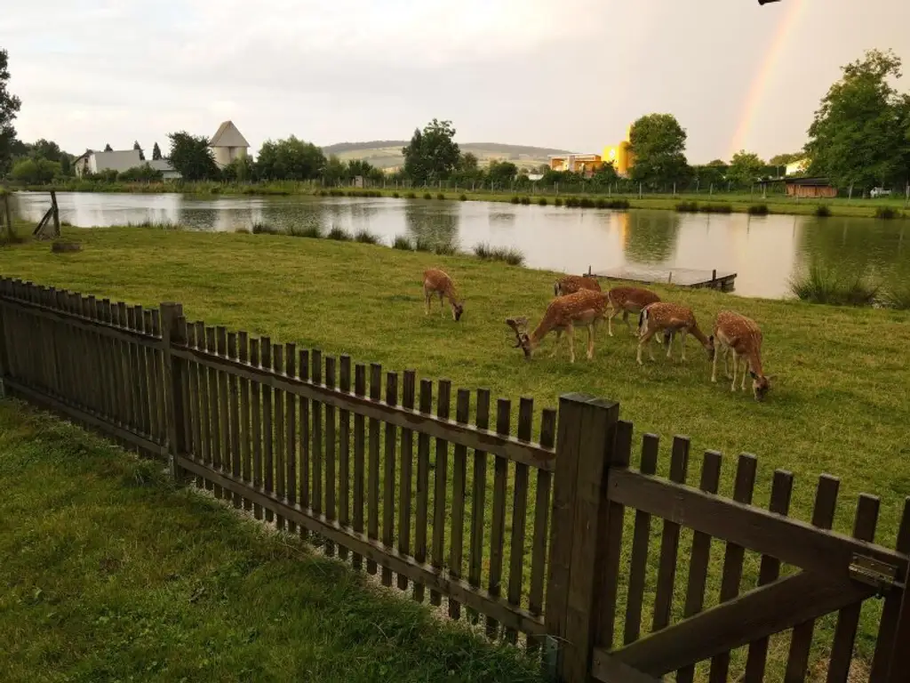 *** IHR PRIVATES PARADIES *** EIGENER FISCHER/BADE-SEE ***  GROSSTIERHALTUNG *** und vieles mehr....