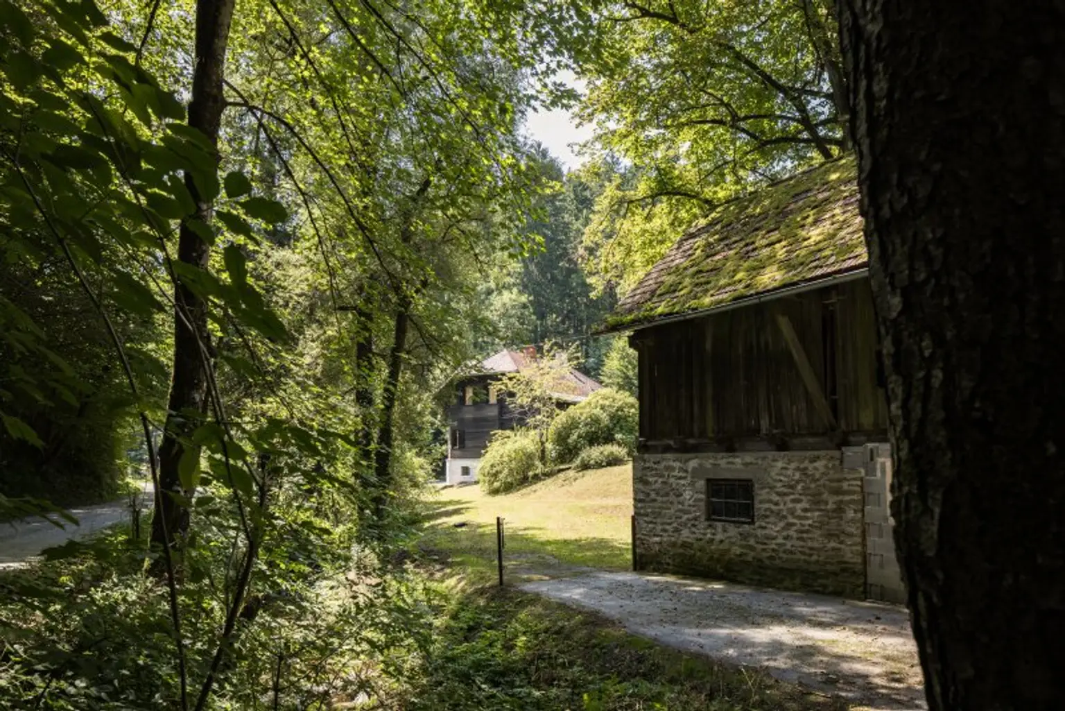 Ehemaliges Forsthaus mit Wirtschaftsgebäuden, allein und ruhig im Wald gelegen.