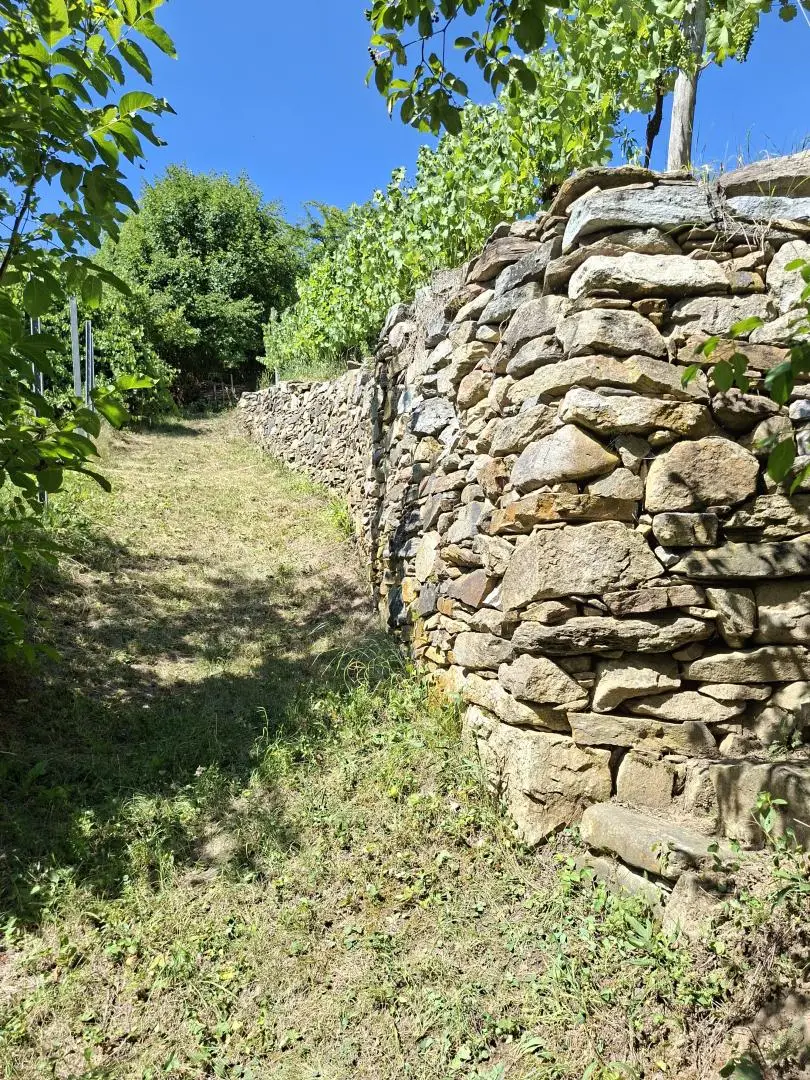 Fußweg
