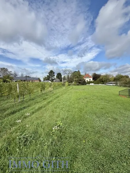 SONNE, WEIN & WEITBLICK – 735 m² BAUGRUNDSTÜCK DIREKT AM WEINGARTEN IN KLOSTERNEUBURG ZU KAUFEN!