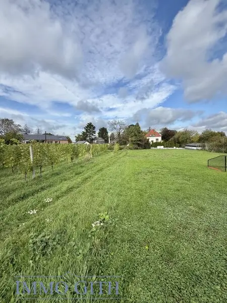 SONNE, WEIN & WEITBLICK – 735 m² BAUGRUNDSTÜCK DIREKT AM WEINGARTEN IN KLOSTERNEUBURG ZU KAUFEN!