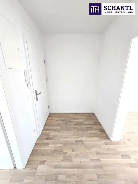 Grün soweit das Auge reicht - Ihr Ruhepol im 18.Bezirk! TOP saniert + Hofseitiger Balkon + Viel Grün + Viel Lebensqualität + Absolute Ruhelage + Ideale Raumaufteilung! Besser geht´s nicht! Nicht lange zögern...