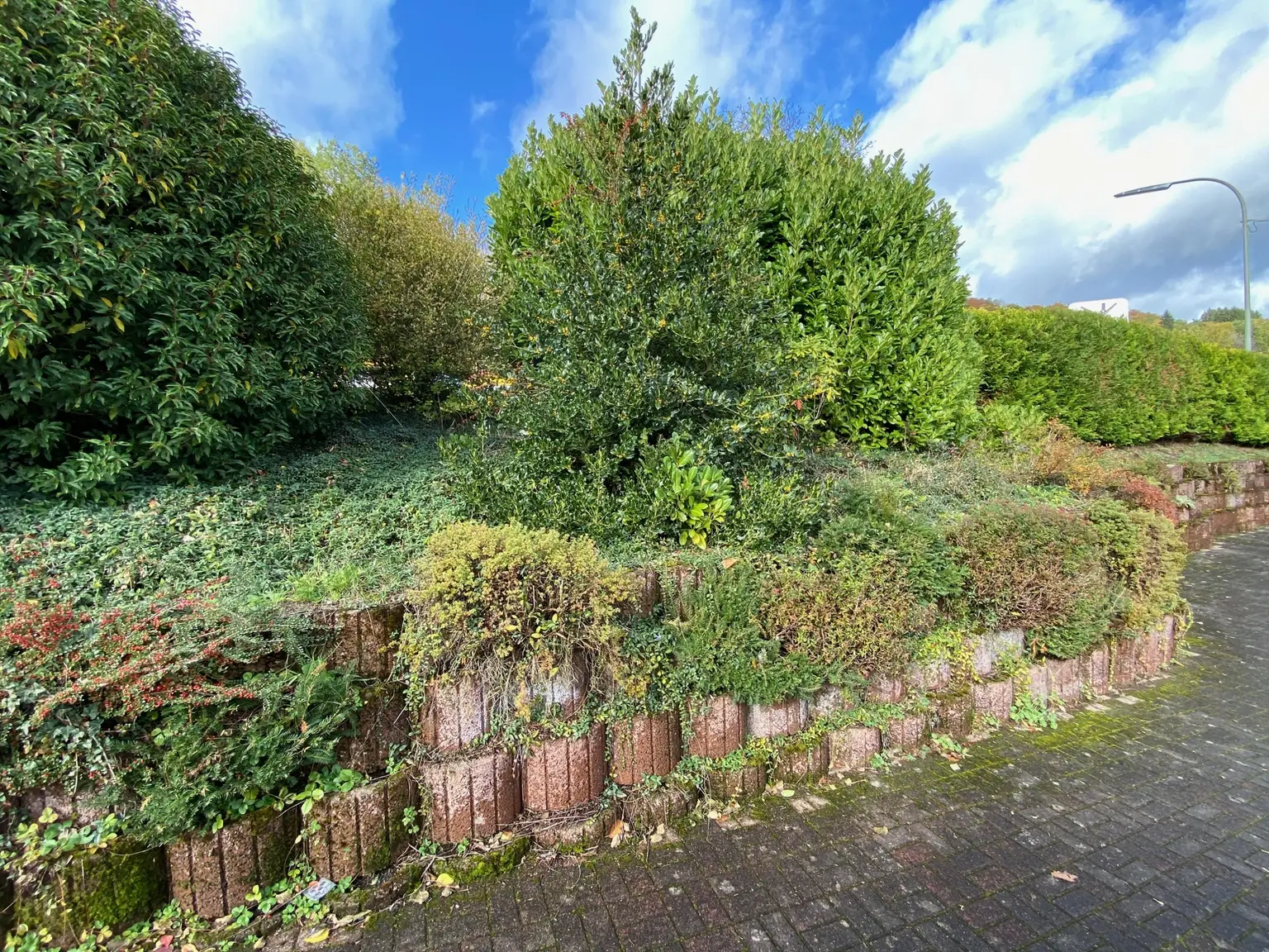 Anlage Garten
