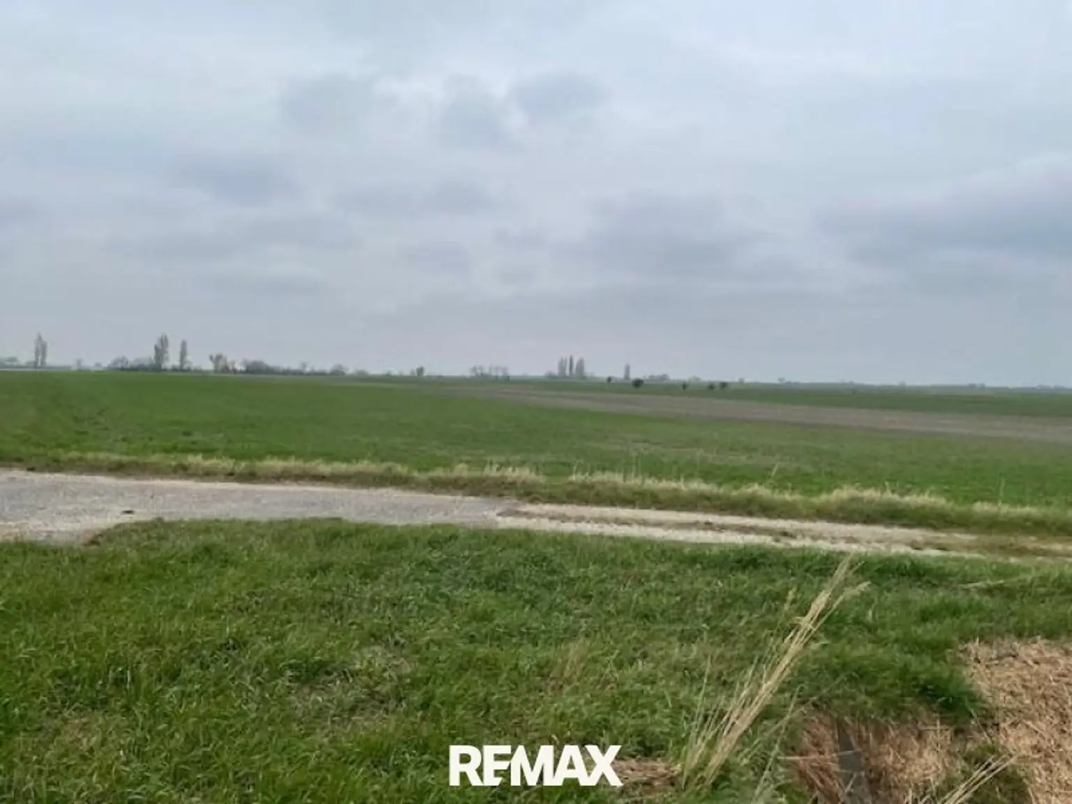 Landwirtschaftliches Grundstück Podersdorf