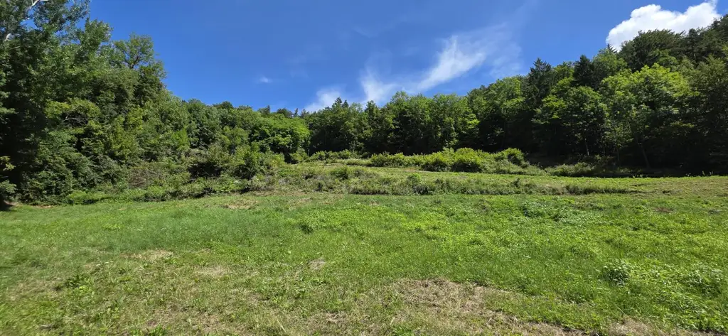Bauland (ca. 8.700 m²) in herrlicher Panoramalage zu kaufen in Stattegg!