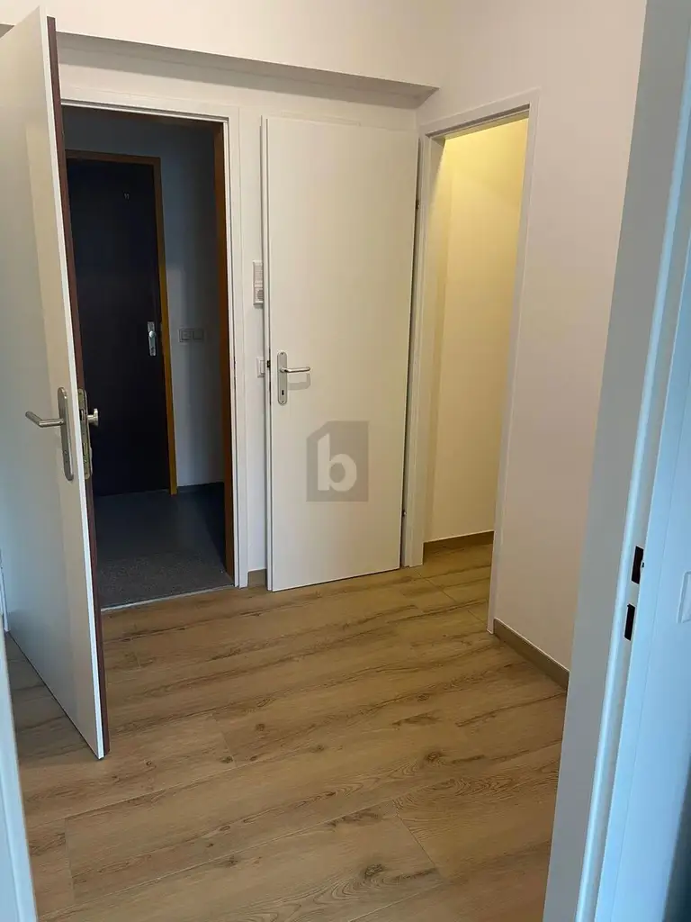 NEU RENOVIERTES WOHNJUWEL IN LINZ