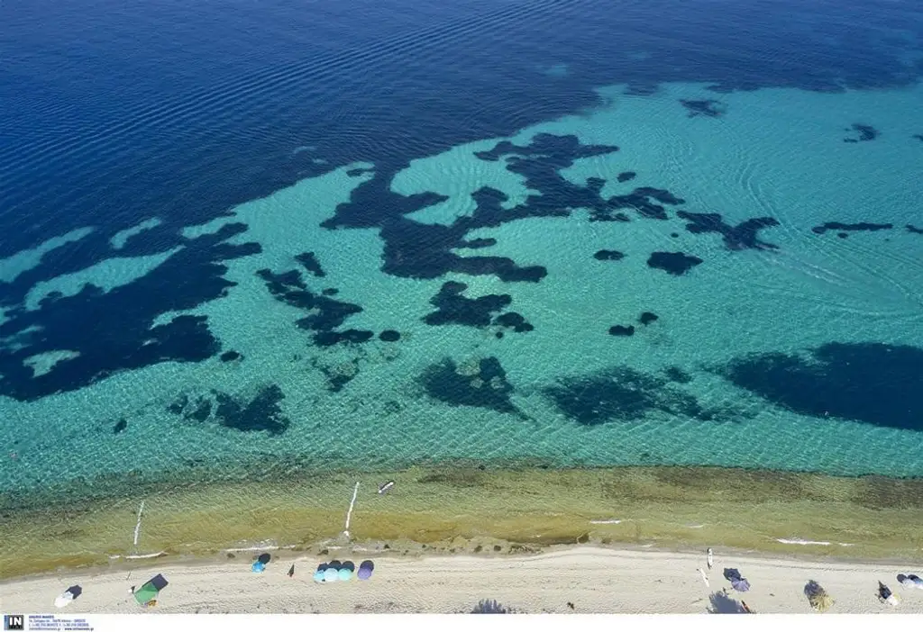 PALM BEACH APARTMENT HOTEL - Polychrono, Kassandra, Chalkidiki