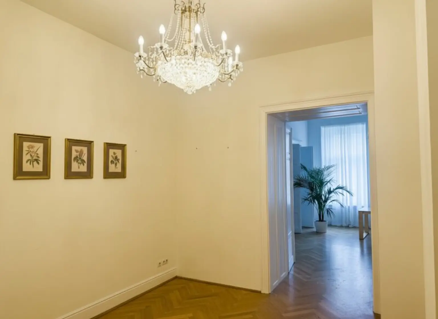 +PROVISIONSFREI+ Prestigeobjekt in 1A-Lage – Altbaubüro beim Hohen Markt ab sofort zu mieten!