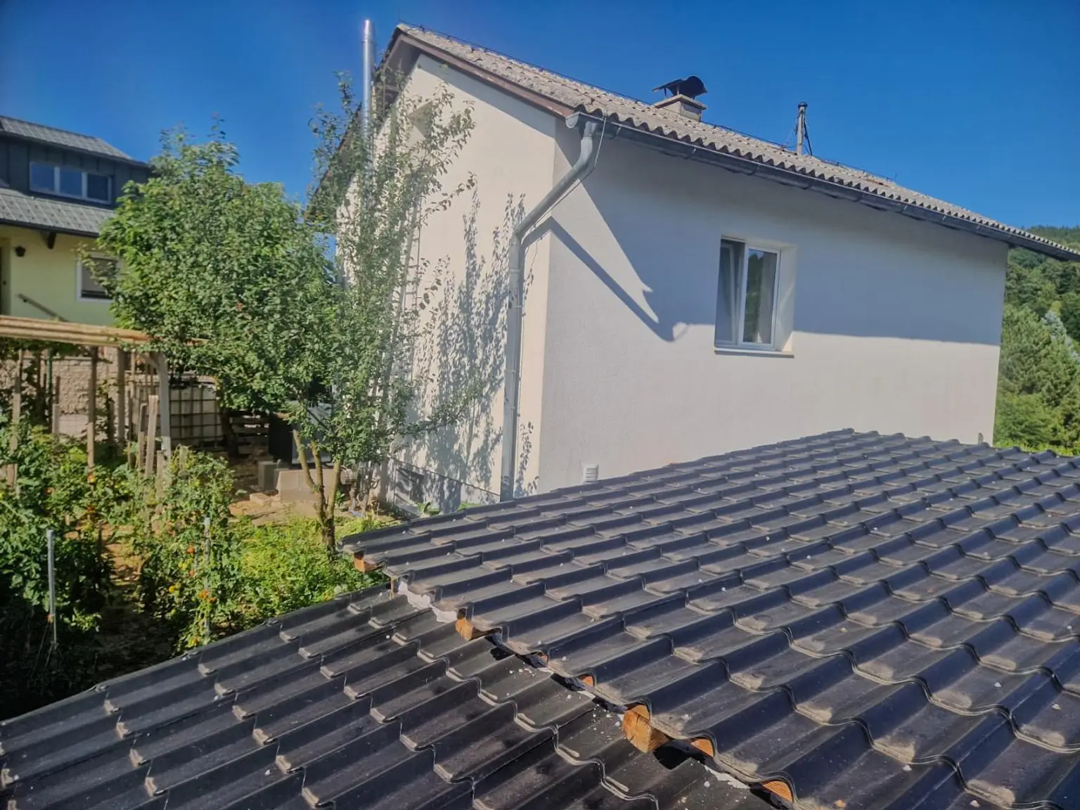 Hintergarten 1
