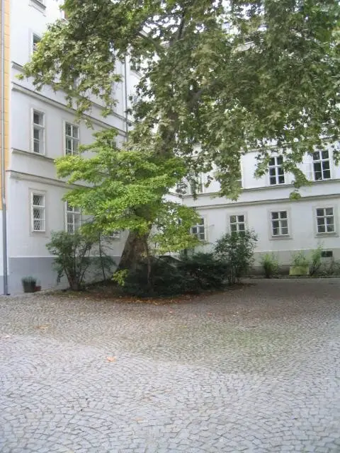 Charismatisches Wiener Altbauflair, exklusive Lage! WOHNETAGE mit Pawlatsche !