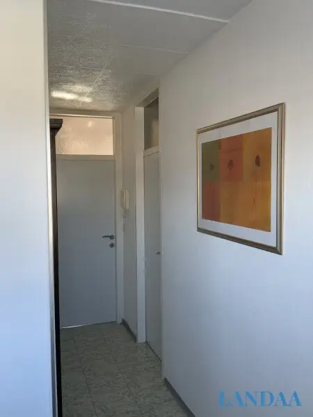 Traumhafte Loggia-Wohnung in Salzburgs TOPLAGE - 52m2, 2 Zimmer, gepflegt, mit Lift!