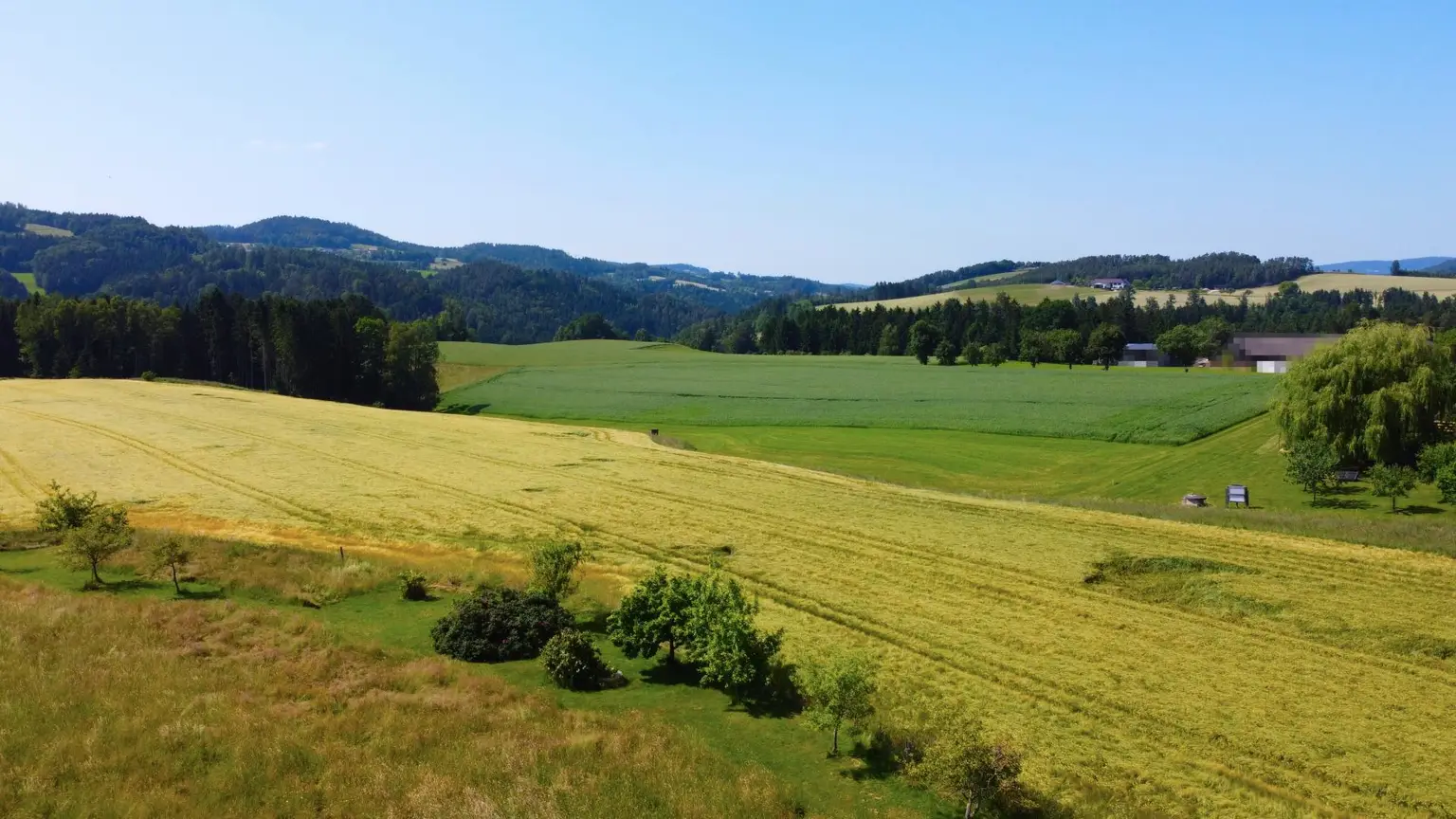 Wohngenuss auf drei Ebenen im Herzen des Mühlviertels