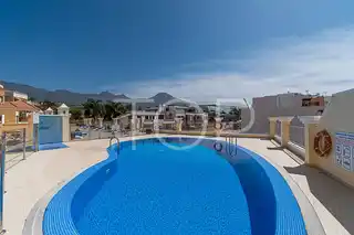 Apartament-La-Caleta-Swimmingpool -Tenerife-3